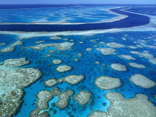 Great barrier Reef_foto1