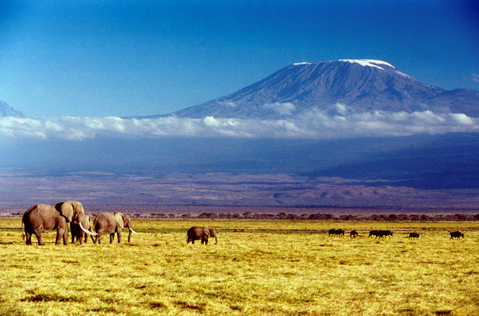 Kilimanjaro_01
