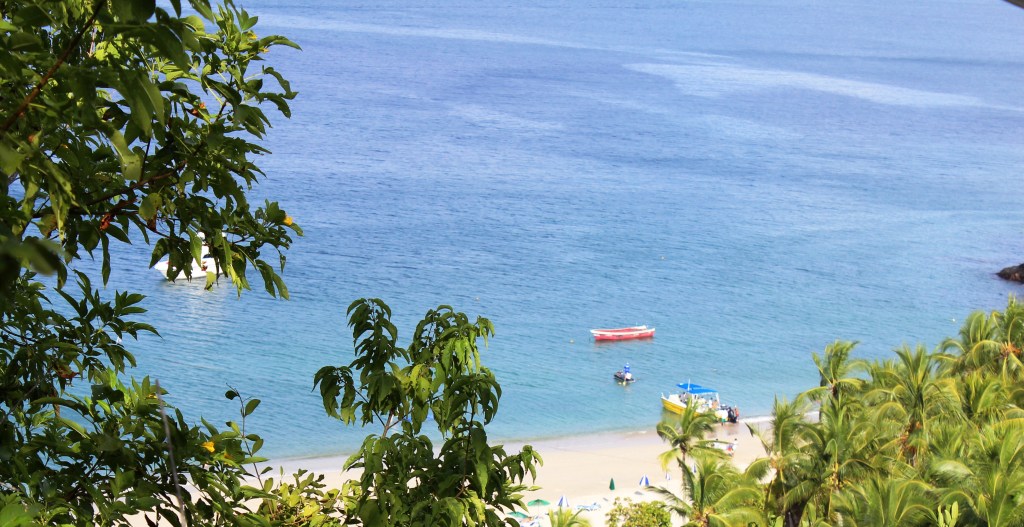 Un colombiano viviendo en NY enamorado de Costa&nbsp;Rica